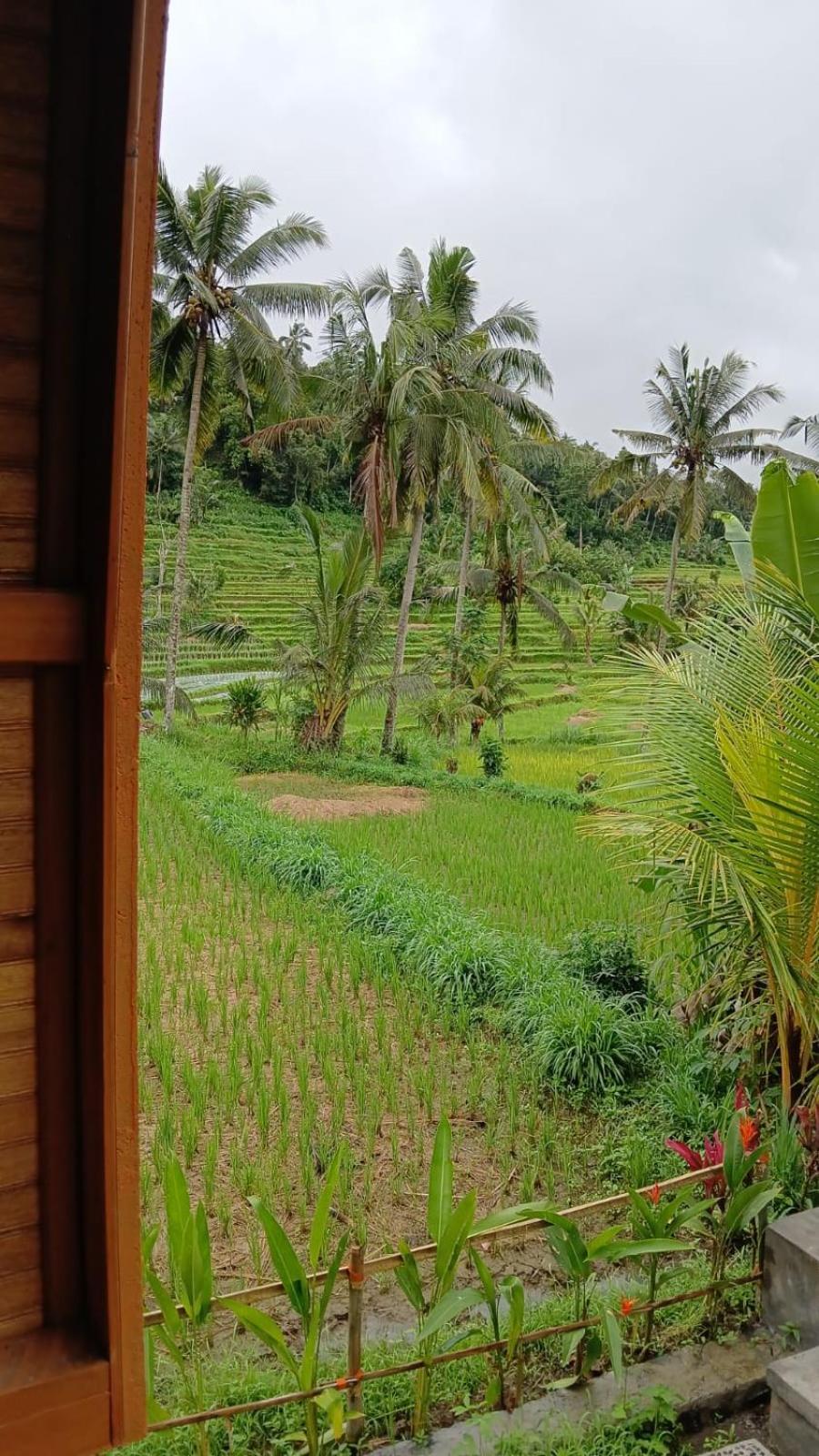 Lumbung Umaluah Villa Sidemen  Ngoại thất bức ảnh